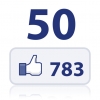  50-          "  ()  "